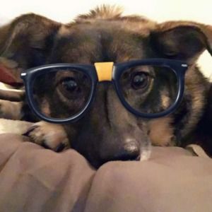 Meet your Posher, Nathan